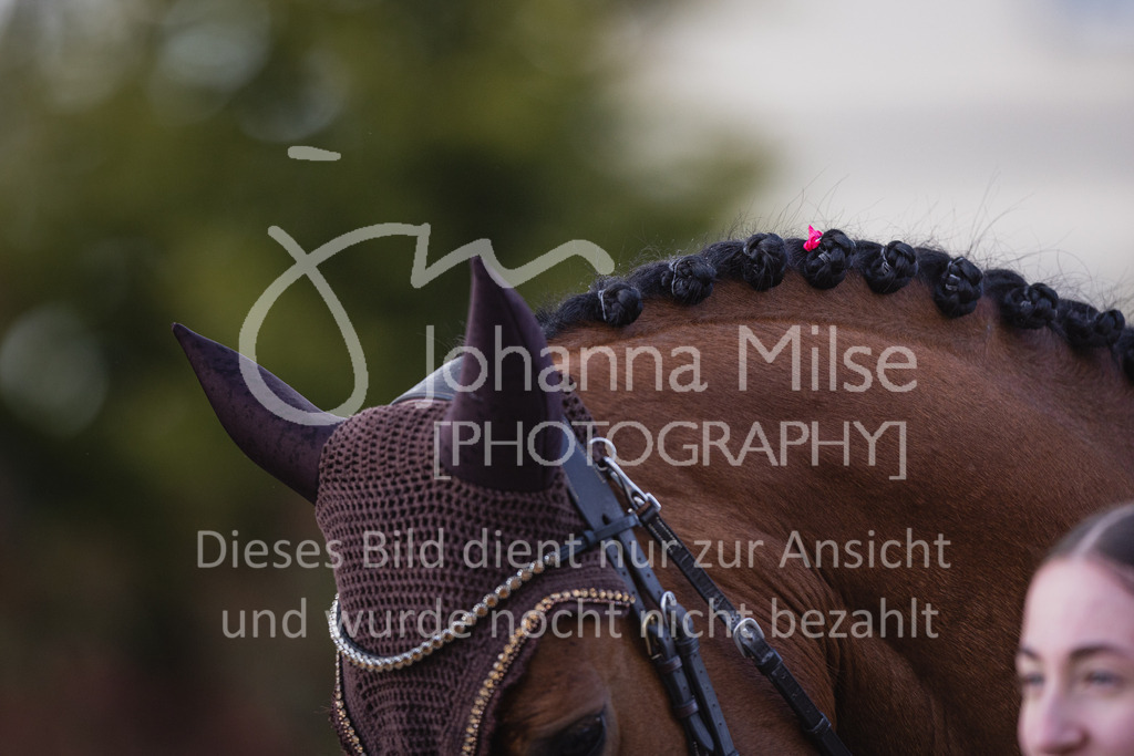 230426_HofSosath_SprPf-L-g-720 | Deine schönsten Turniermomente als professionelle Fotos! Entdecke hochwertige Pferdesport-Fotografie im Online-Shop. Jetzt Fotos finden & bestellen!