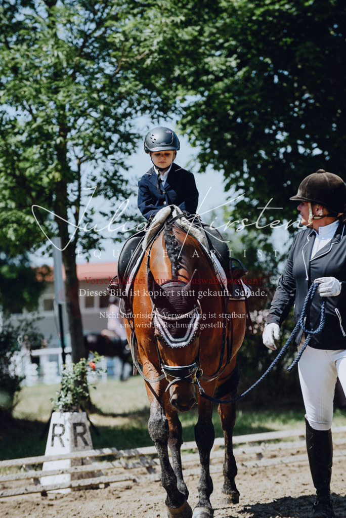 DSC_2501 | Pferde- und Turnierfotografie in Westsachsen. Pferdeportraits, Auftragszeichnungen und intuitive Kunst.