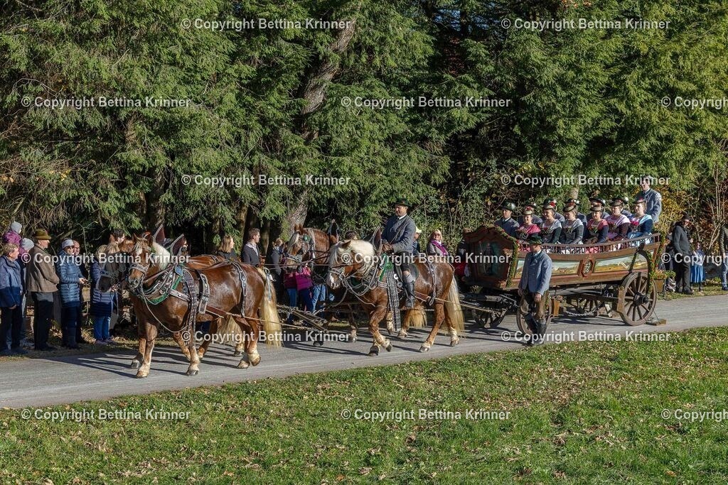 LBT25-331 | foto-bettina-krinner - Realisiert mit Pictrs.com
