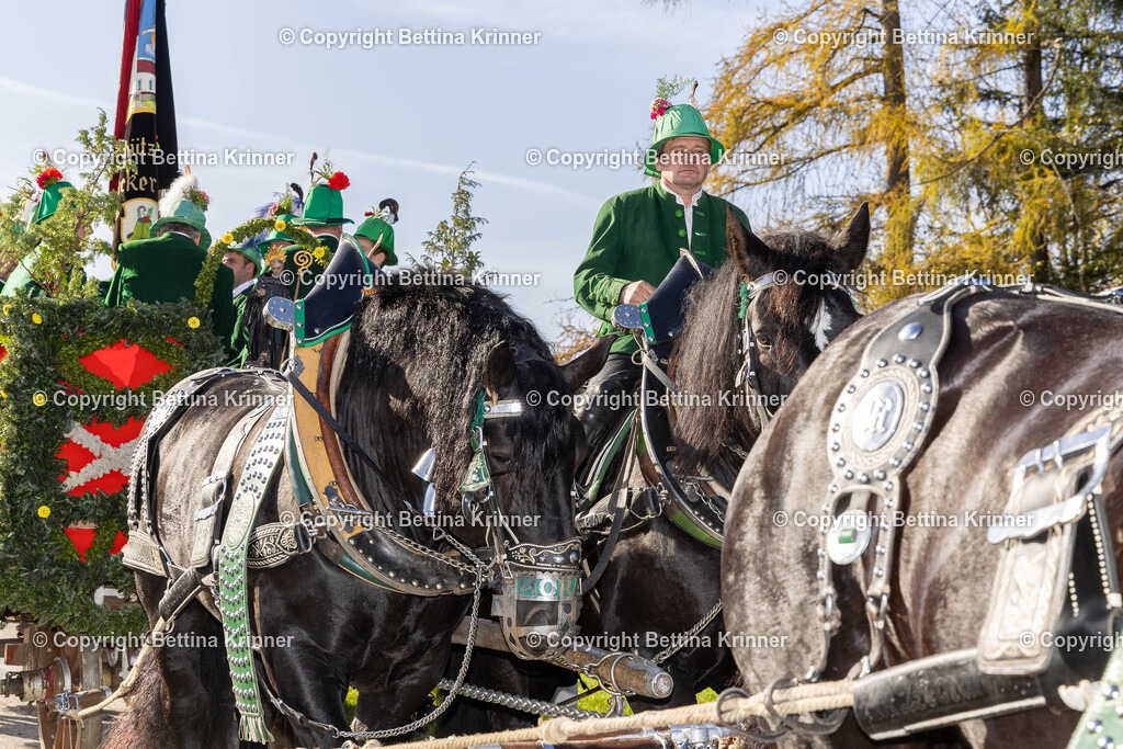 LBT24-1383 | foto-bettina-krinner - Realisiert mit Pictrs.com