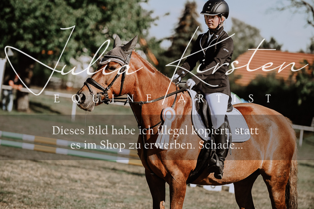 DSC_9520 | Pferde- und Turnierfotografie in Westsachsen. Pferdeportraits, Auftragszeichnungen und intuitive Kunst.