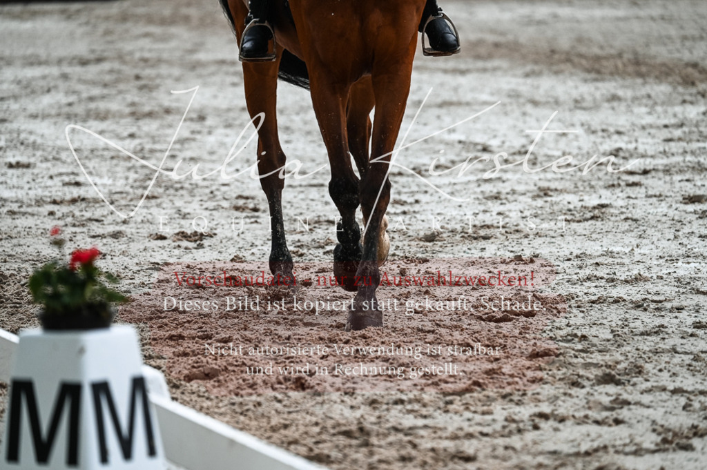 DSC_4378 | Pferde- und Turnierfotografie in Westsachsen. Pferdeportraits, Auftragszeichnungen und intuitive Kunst.