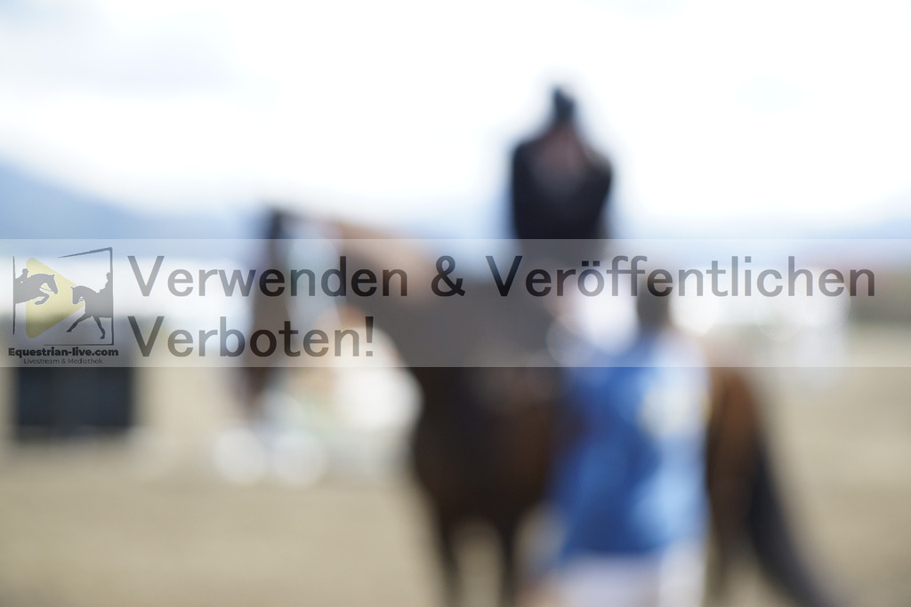 _DSC9800 | equestrian-live-com