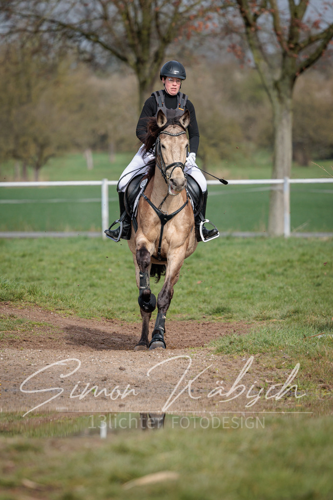 20260329-_3LI3622 | Tierfotografie Pferde, Hunde, Katzen, Haustiere.
Turnierfotografie Reitturniere, Reiten, Springreiten, Dressur in Hanau, dem Main-Kinzig-Kreis und dem Rhein-Main- Gebiet um Frankfurt