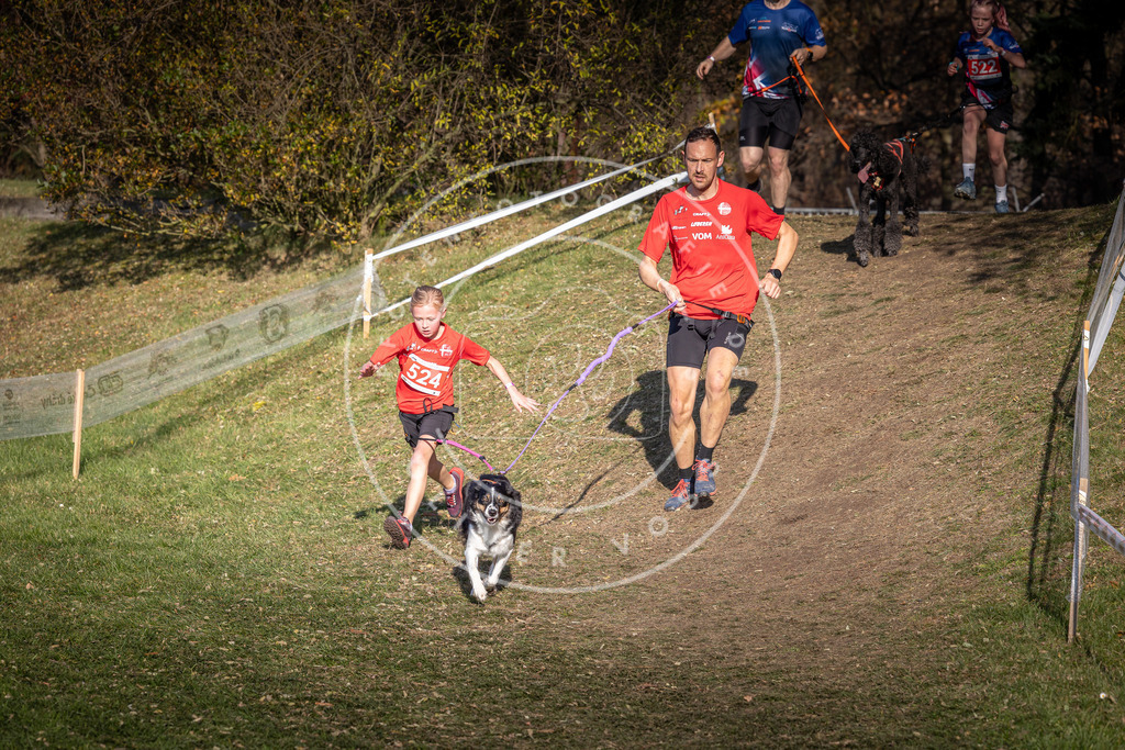 CaniXpix_0L8A8710 | Hundefotografie, Tierfotograf, Pfotenfotografie, Fotoshooting Hund, Hunde Portrait, Hundesport, Hundeportraits, Heideshooting, Hunde, Sportfotograf, Hundefotograf, Turnierhundsport, THS,  - Realisiert mit Pictrs.com