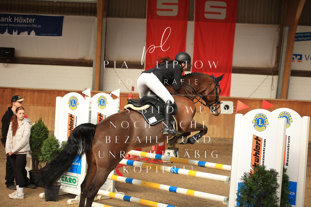 IMGT5912 | pl-fotografie