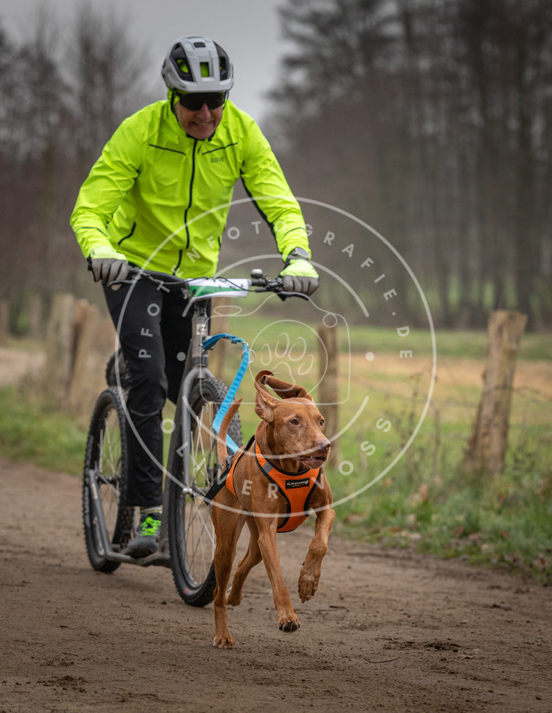 Pfotenfotografie_DV3A2662 | Hundefotografie, Tierfotograf, Pfotenfotografie, Fotoshooting Hund, Hunde Portrait, Hundesport, Hundeportraits, Heideshooting, Hunde, Sportfotograf, Hundefotograf, Turnierhundsport, THS,  - Realisiert mit Pictrs.com