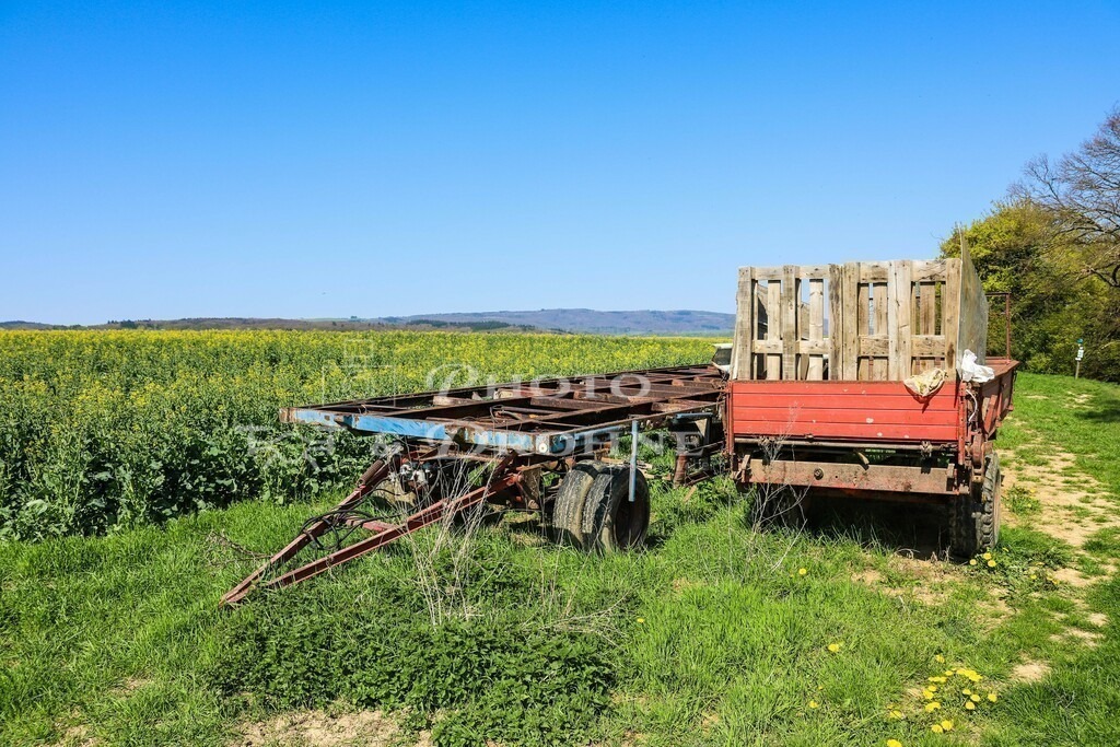 Anhänger im Rapsfeld-8330 | Anhänger im Rapsfeld bei Sankt Goar Werlau, an dem Aussichtspunkt Werlauer Pilz. - Realisiert mit Pictrs.com