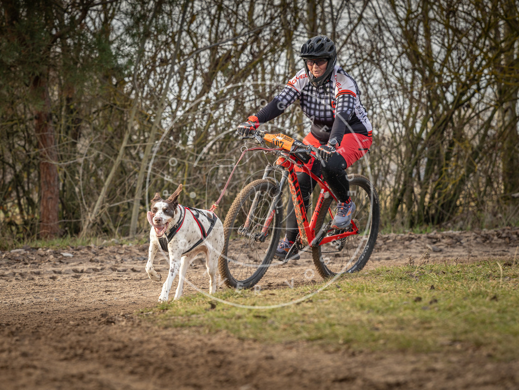 Pfotenfotografie_DV3A8863 | Hundefotografie, Tierfotograf, Pfotenfotografie, Fotoshooting Hund, Hunde Portrait, Hundesport, Hundeportraits, Heideshooting, Hunde, Sportfotograf, Hundefotograf, Turnierhundsport, THS,  - Realisiert mit Pictrs.com
