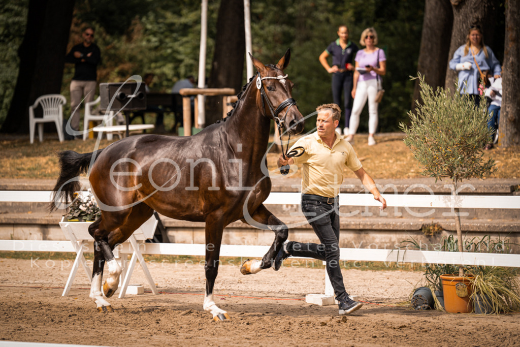 6.Fr00023 | Leoni Ertmer Photography - Realisiert mit Pictrs.com