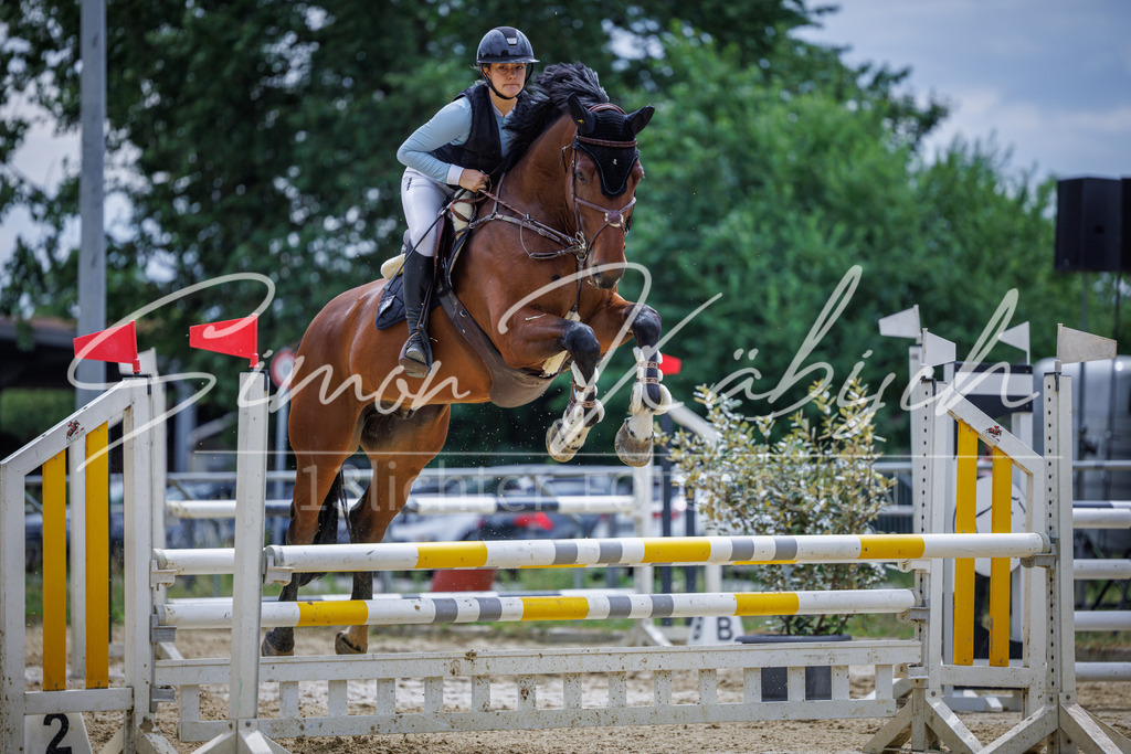 20260705-_3LI6098 | Tierfotografie Pferde, Hunde, Katzen, Haustiere.
Turnierfotografie Reitturniere, Reiten, Springreiten, Dressur in Hanau, dem Main-Kinzig-Kreis und dem Rhein-Main- Gebiet um Frankfurt