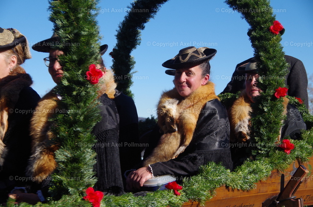 IMGP8089 | fotografiert von Axel PollmannLeonhardi Wallfahrt Benediktbeuern und Murnau, Fronleichnam, Fasching, Landschaft im Loisachtal und Benediktbeuern  - Realisiert mit Pictrs.com