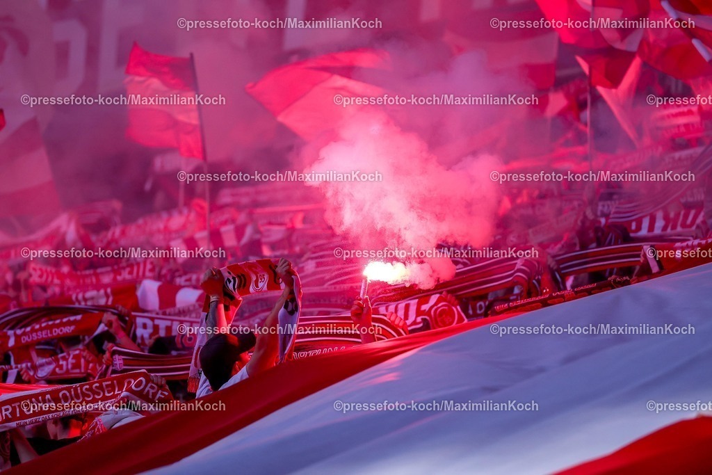 F9524042601019 | 24.04.2026, Fußball, Fortuna Düsseldorf - SC Dynamo Dresden, 2. Fußball Bundesliga, Herren, Merkur Spiel-Arena, 31. Spieltag, Saison 2025 2026: Choreografie Choreo Choreography vor dem Spiel auf der Tribüne  Pyrotechnik, Pyro Bengalisches Feuer Bengalos  DFB regulations prohibit any use of photographs as image sequences and or quasi-video.