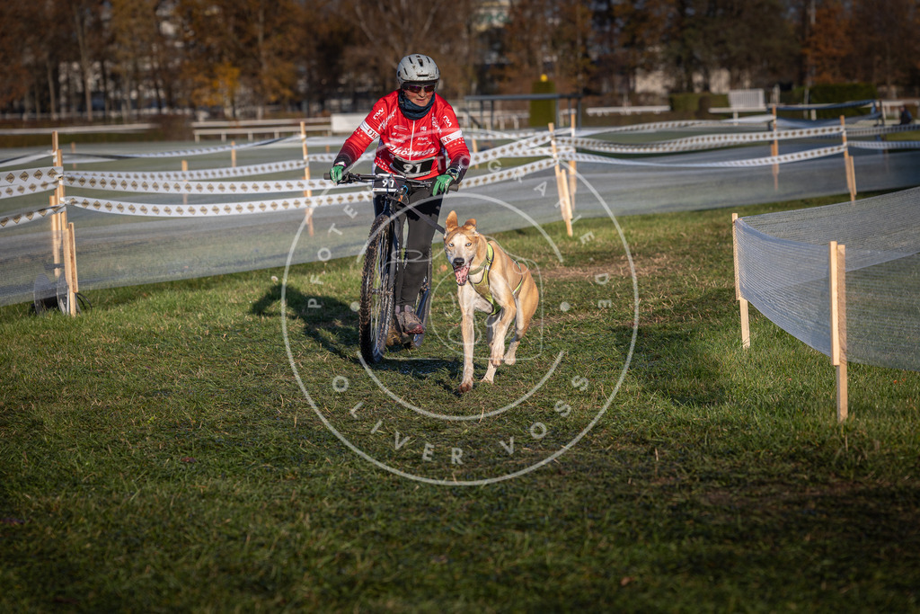 CaniXpix_0L8A3972 | Hundefotografie, Tierfotograf, Pfotenfotografie, Fotoshooting Hund, Hunde Portrait, Hundesport, Hundeportraits, Heideshooting, Hunde, Sportfotograf, Hundefotograf, Turnierhundsport, THS,  - Realisiert mit Pictrs.com
