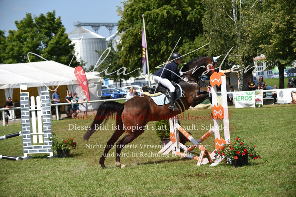 DSC_9958 | Pferde- und Turnierfotografie in Westsachsen. Pferdeportraits, Auftragszeichnungen und intuitive Kunst.