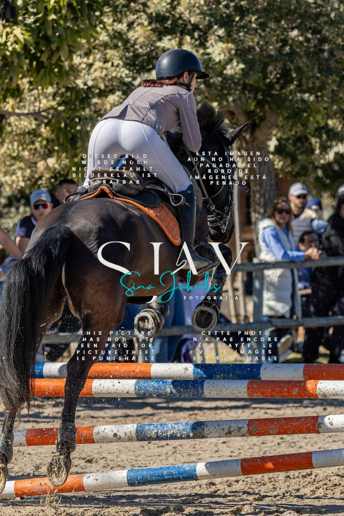 IMG_9028 | s-jay-photography - Realisiert mit Pictrs.com