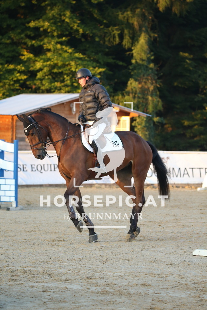 DL2Q0248 | Willkommen bei Brunnmayr - Design & Fotografie – Ihrem Spezialisten für Reitturniere und Pferdeveranstaltungen in Oberösterreich, Salzburg und Bayern! Seit über 17 Jahren sind wir leidenschaftlich dabei.