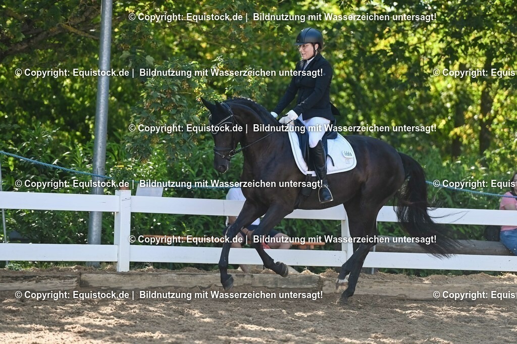 20230715_06_Dressurpferdeprfg. Kl.A_0344 | equistock