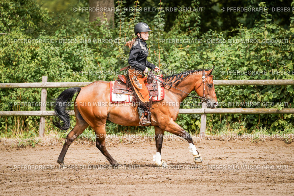 DSC07593 | Pferdegrafie