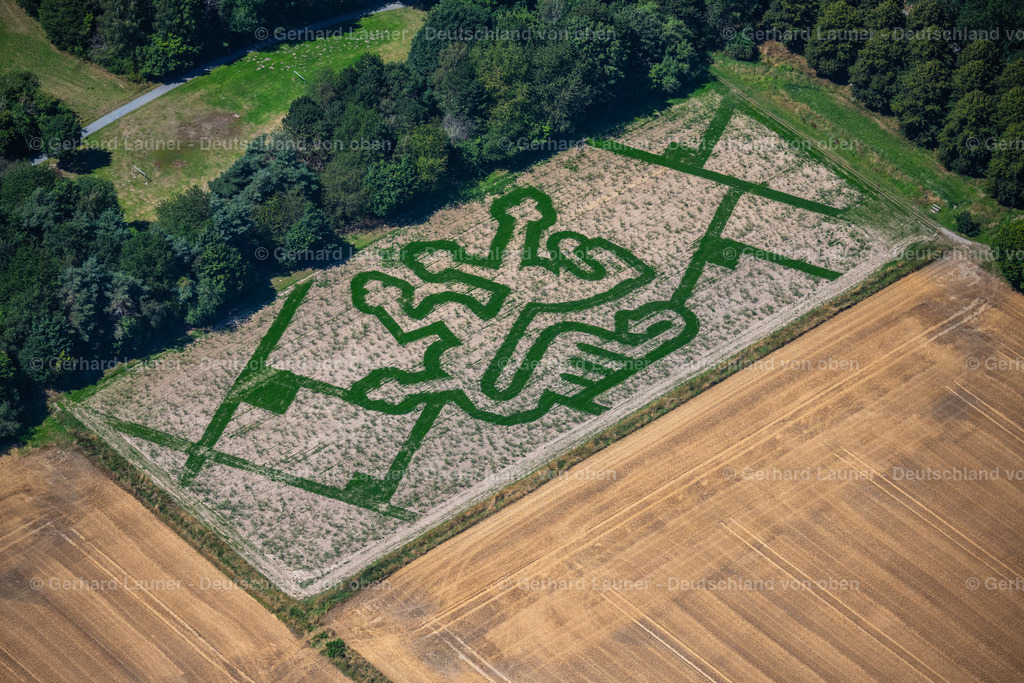 4036024 | Das Löwen-Labyrinth im Westpark am Ackerrand wirdseit 2019 angepflanzt und besteht aus Elefantengras, das bis zu 4 Meter hoch werden kann