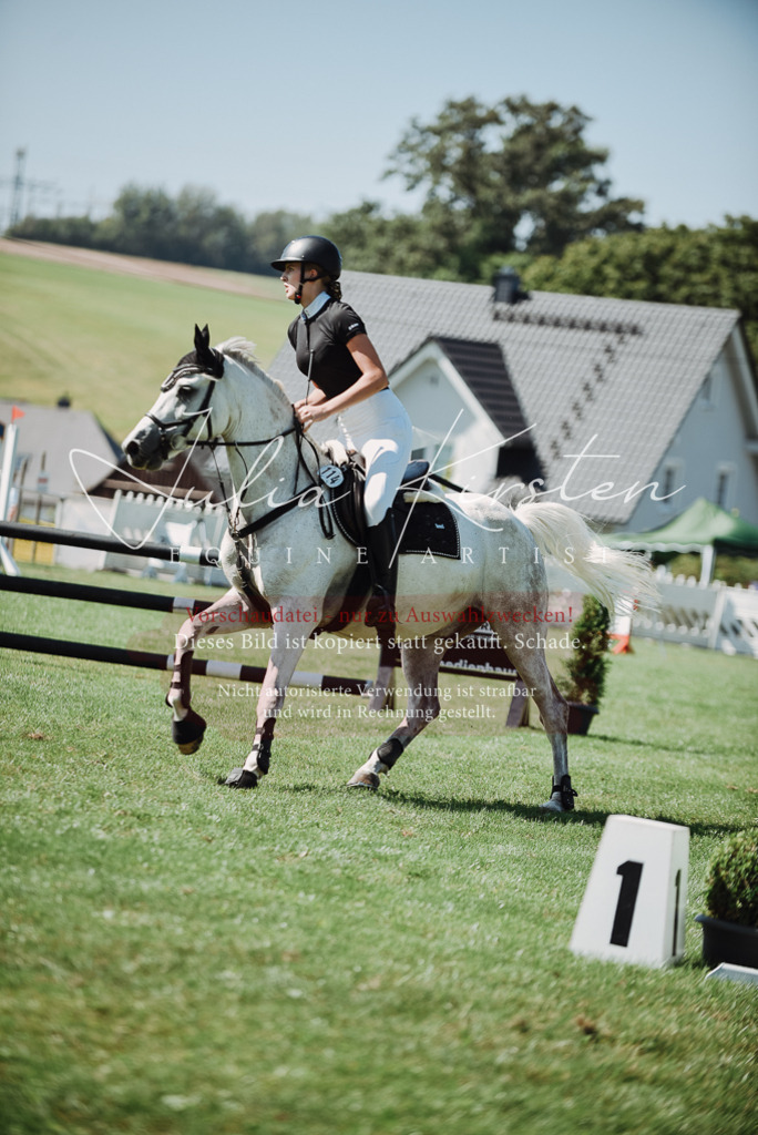 DSC_3315 | Pferde- und Turnierfotografie in Westsachsen. Pferdeportraits, Auftragszeichnungen und intuitive Kunst.
