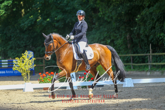 DKP42533 | Turniersportfotografie; Pferdefotografie; Dressurfotografie