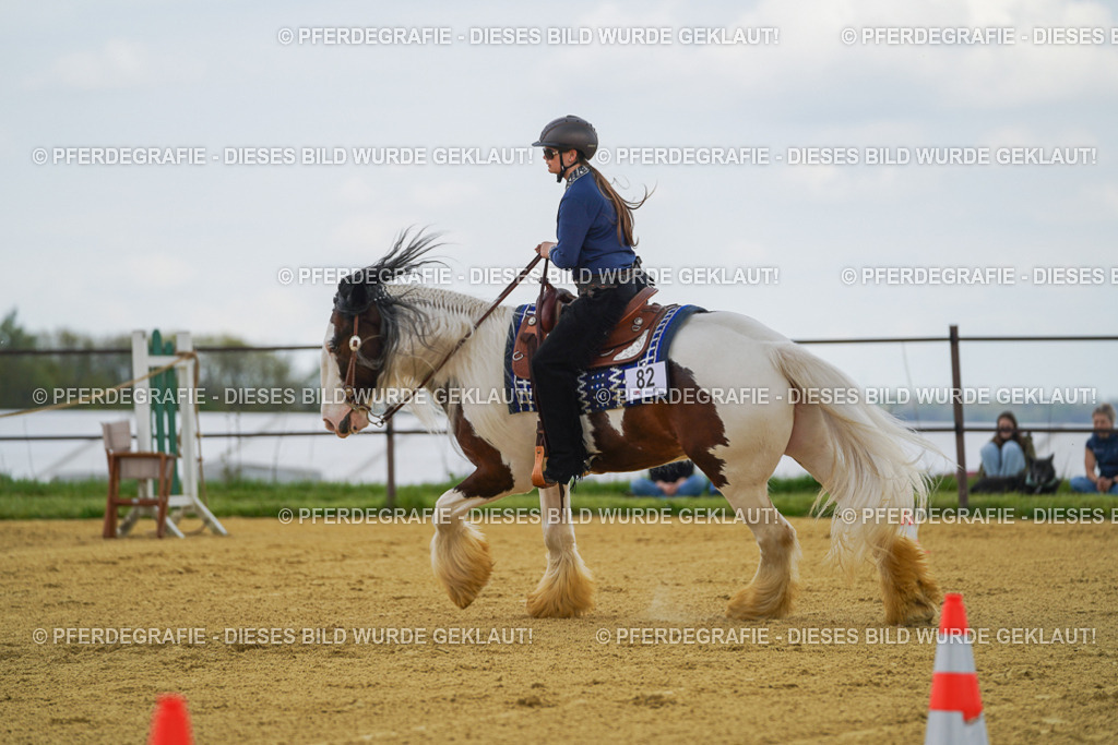 DSC06038 | Pferdegrafie