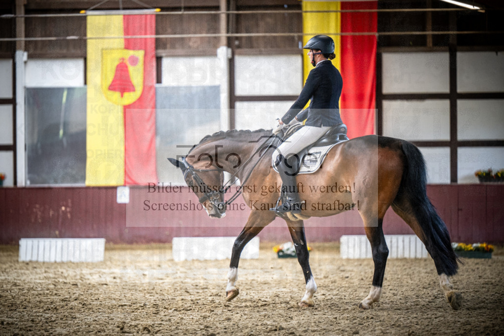 DOS_1402 | Reitturnier Lüdinghausen - Realisiert mit Pictrs.com