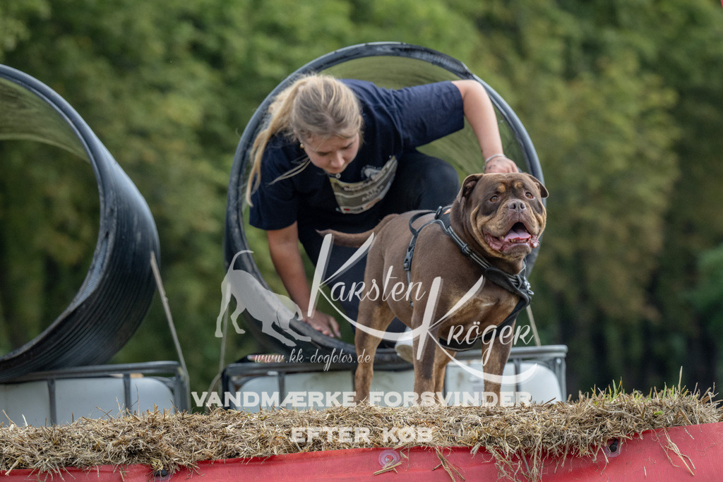 1041_ZZ92871 | kk-dogfotos