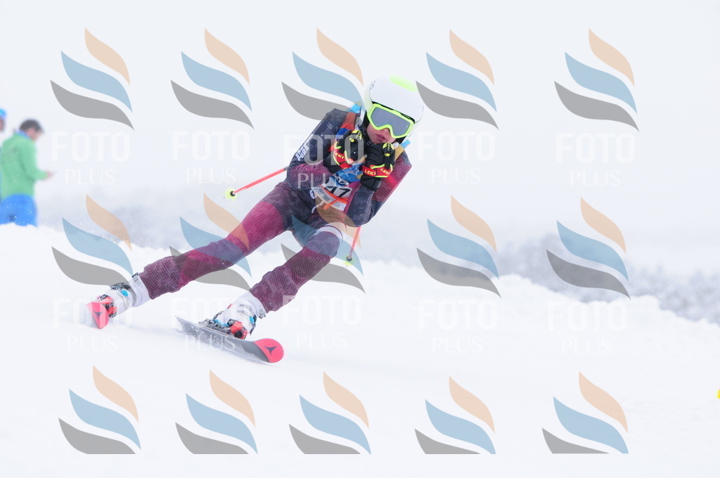 C2590 | holidayphoto