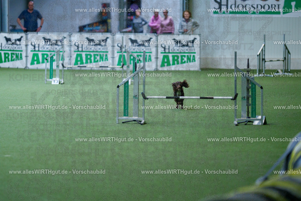 @allesWIRTHgut_Tierfotografie - www.allesWIRTHgut.de - 2604260804-7R506548 | Professionelle Tierfotografie in Mönchengladbach von Daniel Wirth (allesWIRTHgut). Liebevolle & natürliche Bilder von Hunden & Katzen für unvergessliche Erinnerungen.