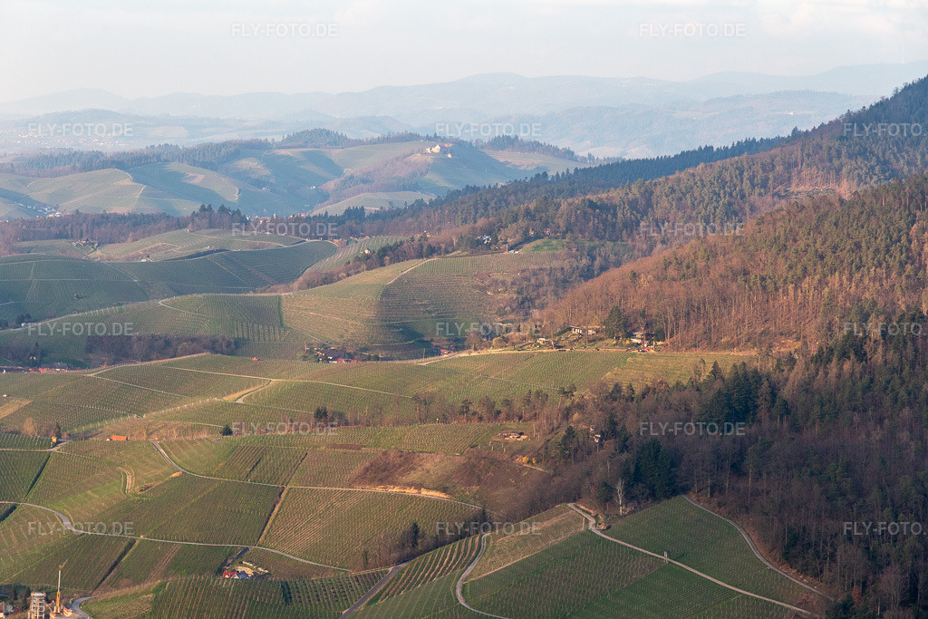 Luftbild: Ortenau Rebland in Ortenberg im Bundesland Baden-Württemberg in Deutschland. Foto: IMG_120393.jpg vom 17.03.2020 durch Werner Riehm/FLY-FOTO.de
