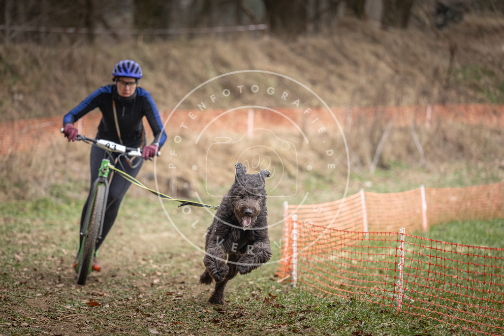 Pfotenfotografie_DV3A6590 | Hundefotografie, Tierfotograf, Pfotenfotografie, Fotoshooting Hund, Hunde Portrait, Hundesport, Hundeportraits, Heideshooting, Hunde, Sportfotograf, Hundefotograf, Turnierhundsport, THS,  - Realisiert mit Pictrs.com