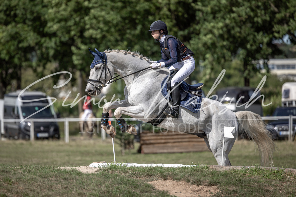 20250907-_3LI9873 | Tierfotografie Pferde, Hunde, Katzen, Haustiere.
Turnierfotografie Reitturniere, Reiten, Springreiten, Dressur in Hanau, dem Main-Kinzig-Kreis und dem Rhein-Main- Gebiet um Frankfurt