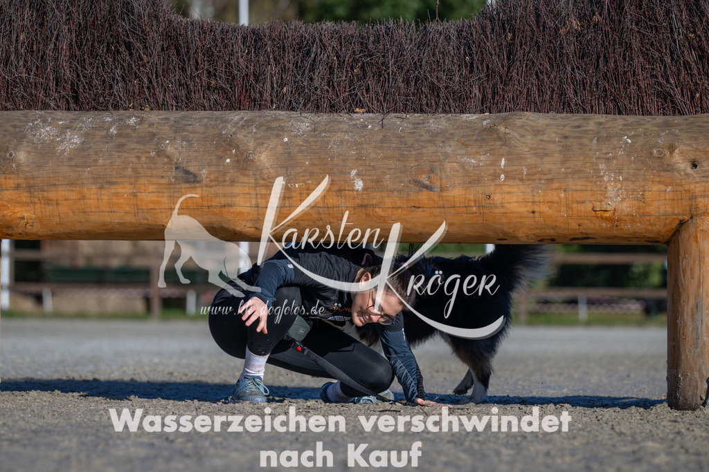 1039-_ZZ91975 | kk-dogfotos