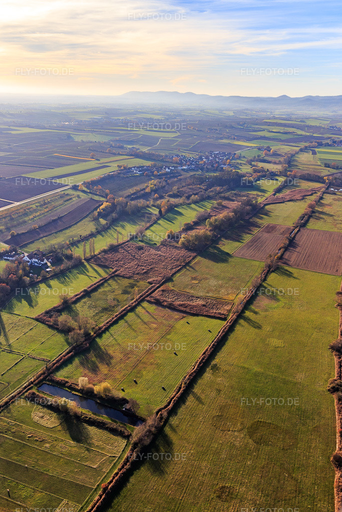 Luftbild: Billigheimer Bruch, Erlenbachtal zwischen Barbelroth, Hergersweiler und Winden im Ortsteil Mühlhofen in Billigheim-Ingenheim im Bundesland Rheinland-Pfalz in Deutschland. Foto: IMG_123863.jpg vom 21.11.2020 durch Werner Riehm/FLY-FOTO.de