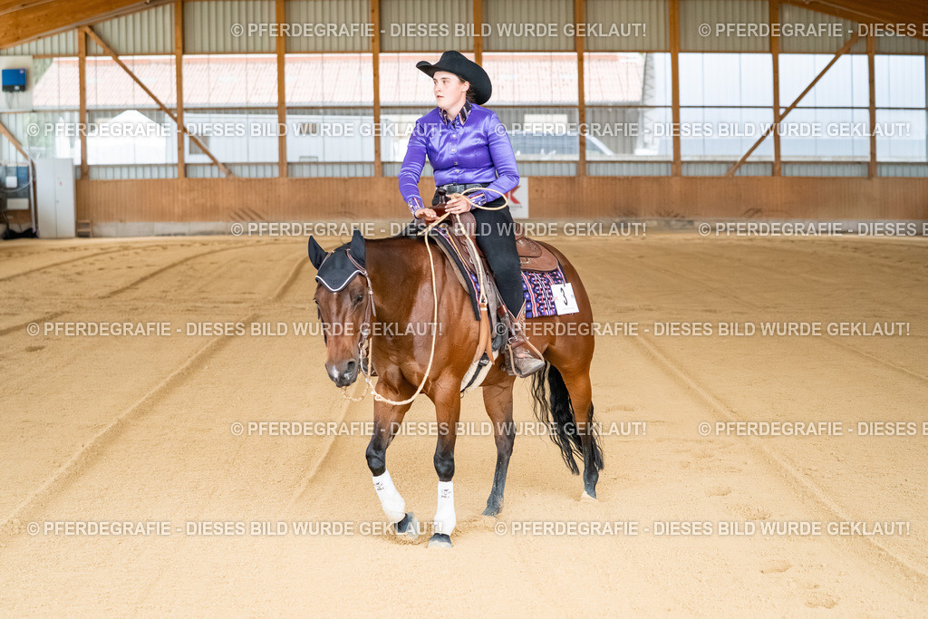 DSC07836 | Pferdegrafie