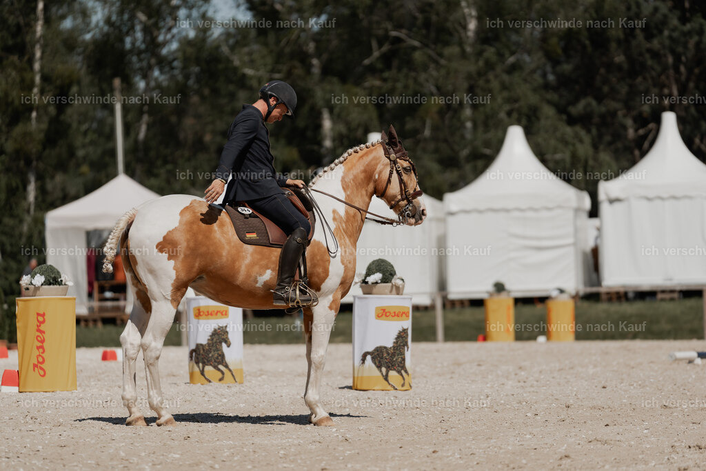 WE_ST_Stoib_344_PI2025_1319 | Pferd International München 2025