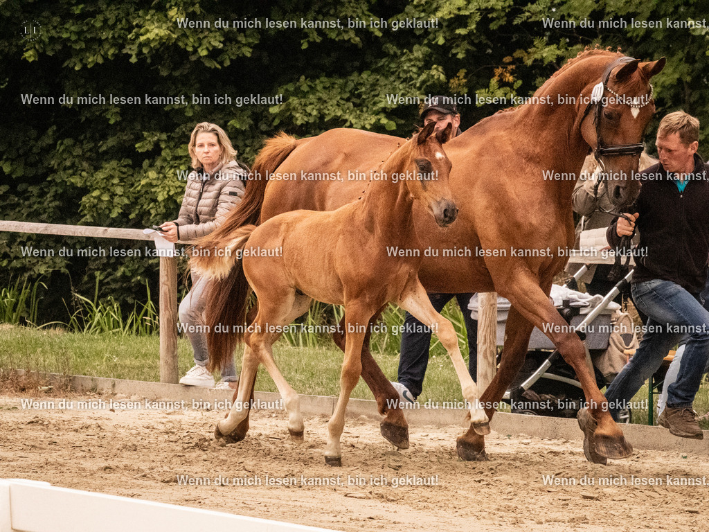 A10I1288 | photographylinaismer - Realisiert mit Pictrs.com