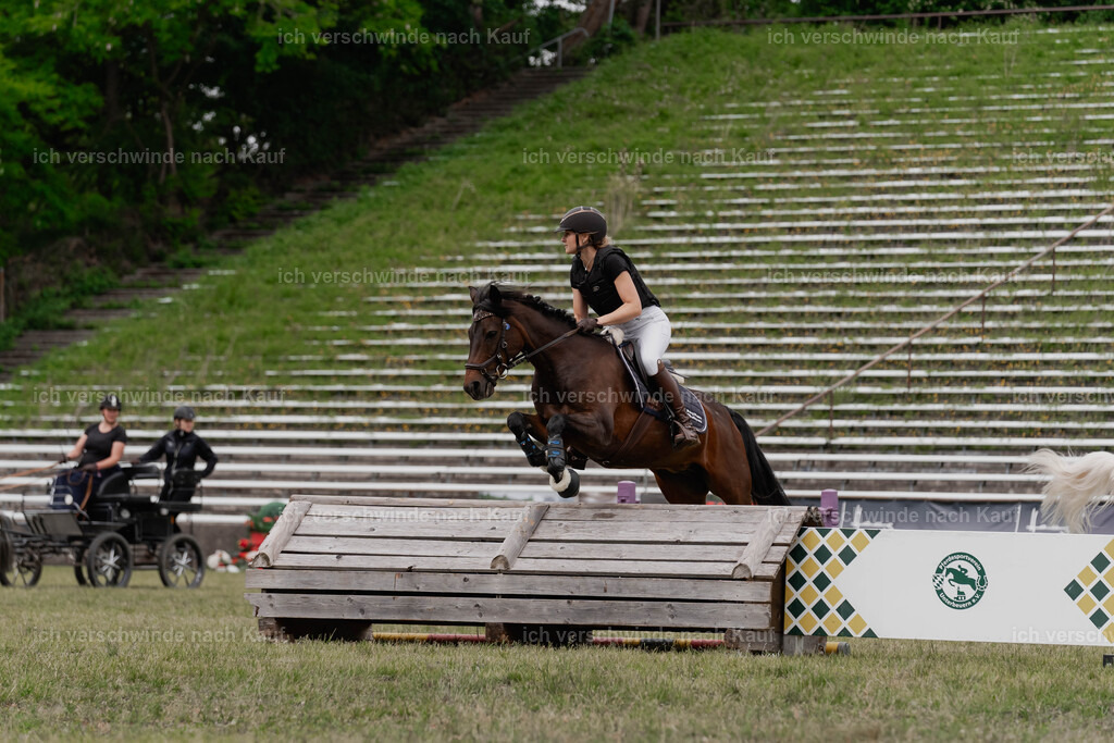 Showprogramm-391 | working equitationturnier fotograf videograf stoibphotography marixx film working equitation deutschland reitsport turnierfotografie eventfotografie equestrian events
