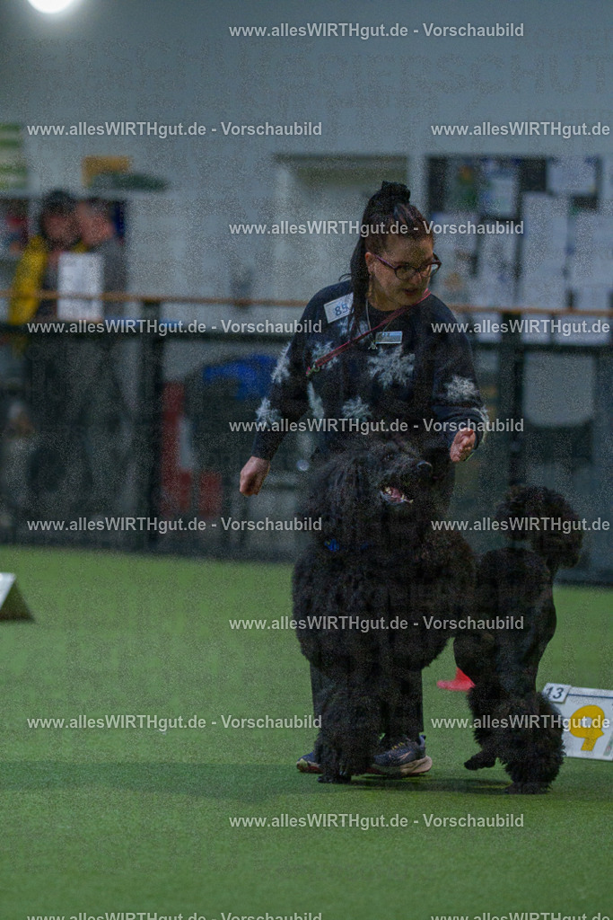 7R503439 | Professionelle Tierfotografie in Mönchengladbach von Daniel Wirth (allesWIRTHgut). Liebevolle & natürliche Bilder von Hunden & Katzen für unvergessliche Erinnerungen.