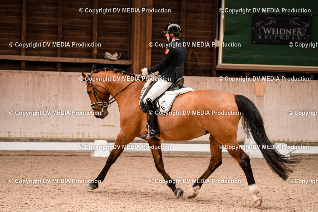 Dressur Tag 2-352 | dv-media-shop - Realisiert mit Pictrs.com