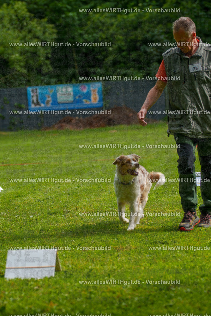 @allesWIRTHgut_Tierfotografie - www.allesWIRTHgut.de - 7R502921 | Professionelle Tierfotografie in Mönchengladbach von Daniel Wirth (allesWIRTHgut). Liebevolle & natürliche Bilder von Hunden & Katzen für unvergessliche Erinnerungen.