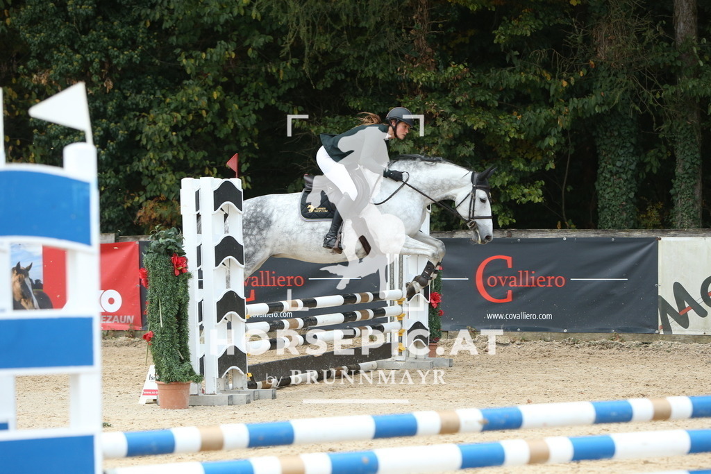 DL2Q4994 | Willkommen bei Brunnmayr - Design & Fotografie – Ihrem Spezialisten für Reitturniere und Pferdeveranstaltungen in Oberösterreich, Salzburg und Bayern! Seit über 17 Jahren sind wir leidenschaftlich dabei.