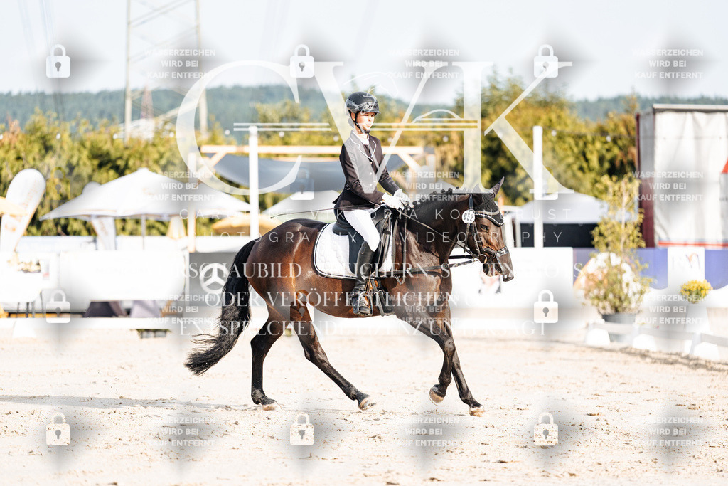 CK903805 | Turnierfotografie Pferdefotografie Trier Rheinland-Pfalz Pferdesport Reitsport Tierfotografie Sportfotografie Pferdevideo Pferdevideografie Equestrianvideography equestrianphotography  - Realisiert mit Pictrs.com