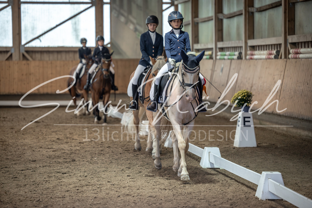 20251011-_3LI8540 | Tierfotografie Pferde, Hunde, Katzen, Haustiere.
Turnierfotografie Reitturniere, Reiten, Springreiten, Dressur in Hanau, dem Main-Kinzig-Kreis und dem Rhein-Main- Gebiet um Frankfurt