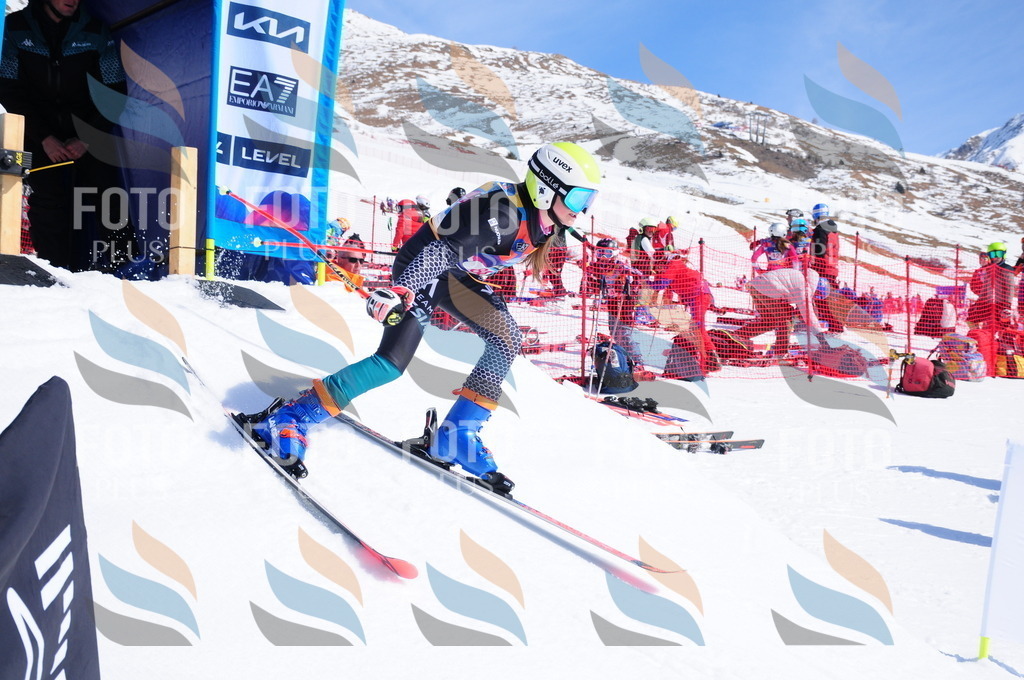 DSC_4610 | holidayphoto