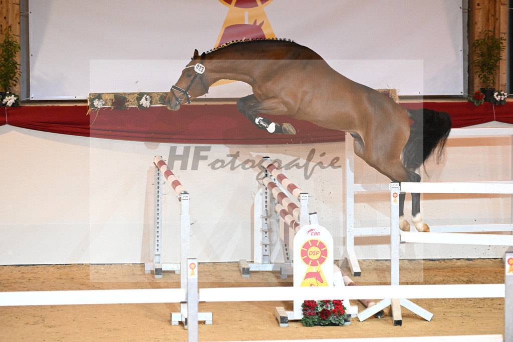 Kat-Nr. 23 Hardrock Z_VDL Stud_1230947 | hf-fotografie - Realisiert mit Pictrs.com