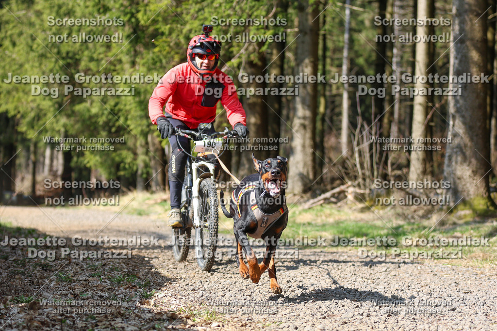 Dog Paparazzi - VCC26-181 | Dog Paparazzi Jeanette Grottendiek Fotografie & Videografie - Realisiert mit Pictrs.com