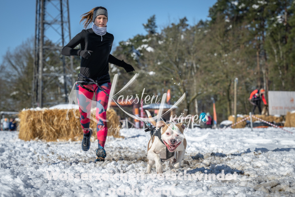 1117_ZZ91321-3 | kk-dogfotos